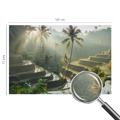 Fotomural decorativo para cabecero de cama Terrazas del paraíso
