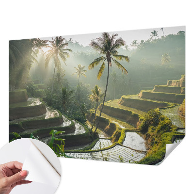 Fotomural decorativo para cabecero de cama Terrazas del paraíso