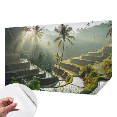 Fotomural decorativo para cabecero de cama Terrazas del paraíso