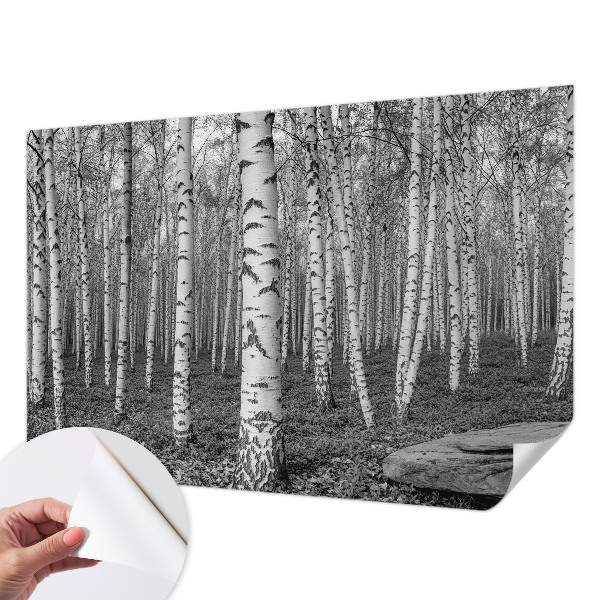 Papel mural texturado decorativo con motivo de bosque de abedules