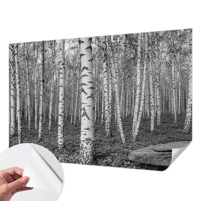 Papel mural texturado decorativo con motivo de bosque de abedules