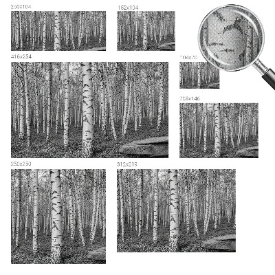 Papel mural texturado decorativo bosque de abedules