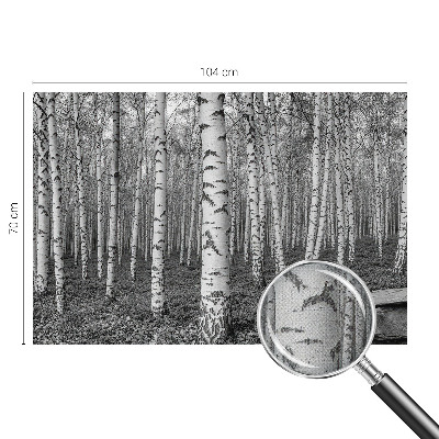 Papel mural texturado decorativo bosque de abedules