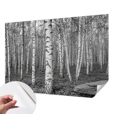 Papel mural texturado decorativo bosque de abedules