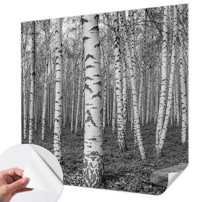Papel mural texturado decorativo bosque de abedules
