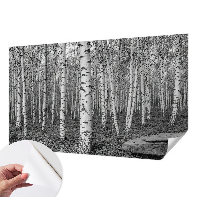 Papel mural texturado decorativo bosque de abedules