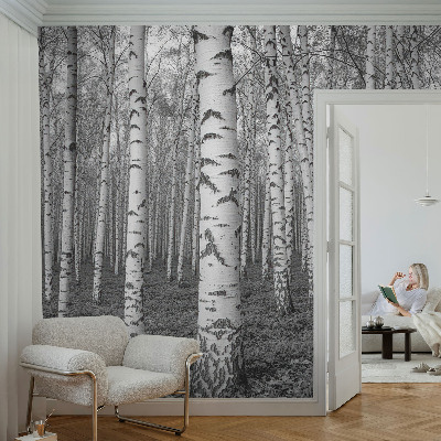 Papel mural texturado decorativo bosque de abedules