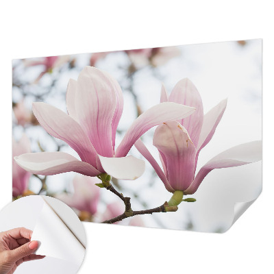 Mural de pared con estampado hermoso con motivo de flores de magnolia