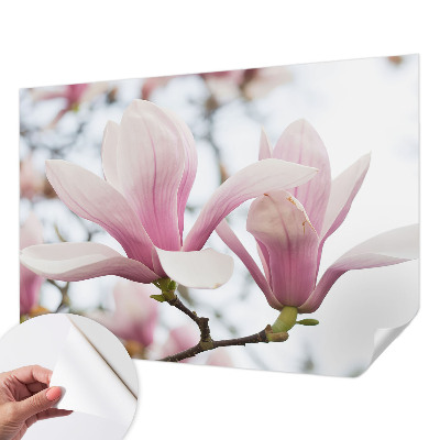 Mural de pared con estampado hermoso flores de magnolia