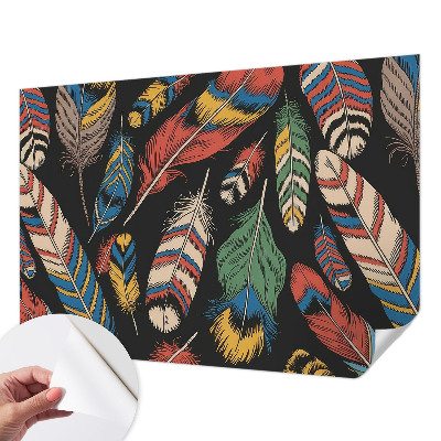 Mural de pared con estampado hermoso Plumas coloridas
