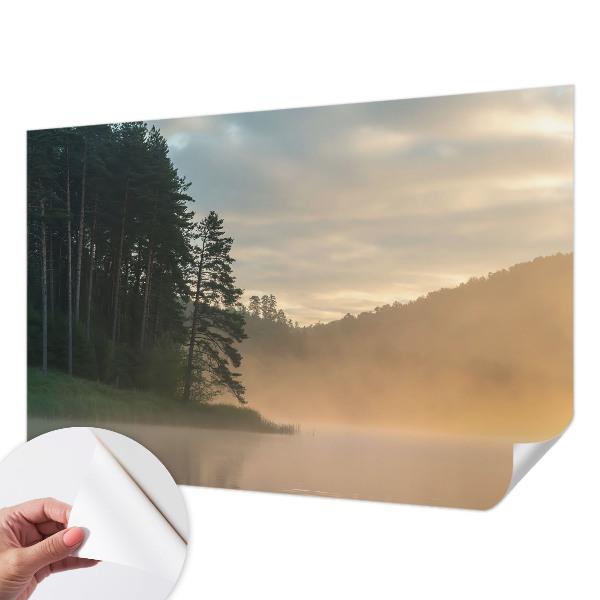 Fotomural decorativo para cabecero de cama Mañana con niebla