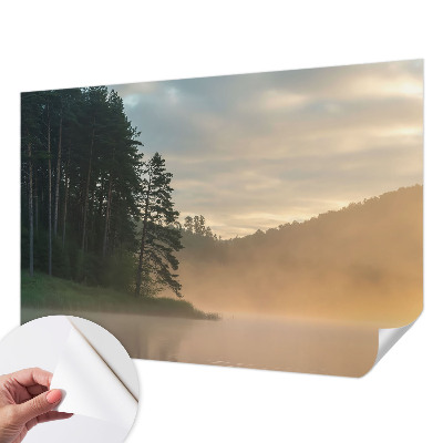 Fotomural decorativo para cabecero de cama Mañana con niebla