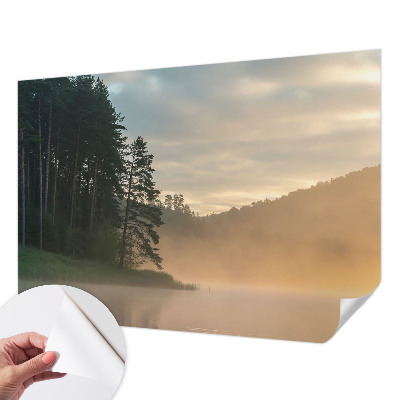 Fotomural decorativo para cabecero de cama Mañana con niebla