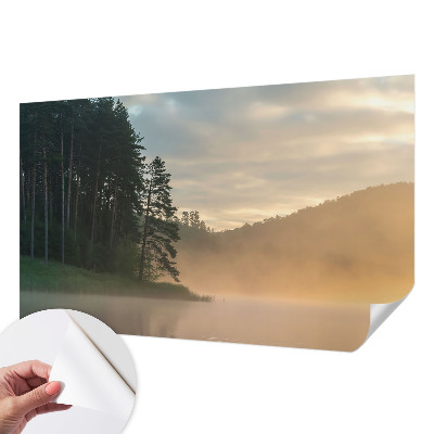 Fotomural decorativo para cabecero de cama Mañana con niebla