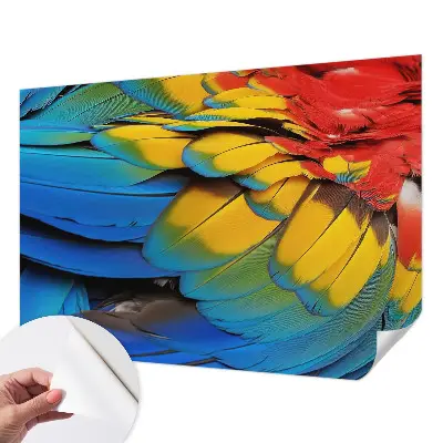 Papel mural texturado decorativo con diseño de plumas arcoíris