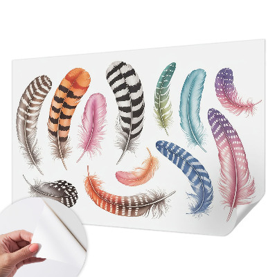Mural de pared con estampado hermoso con plumas en tonos pastel