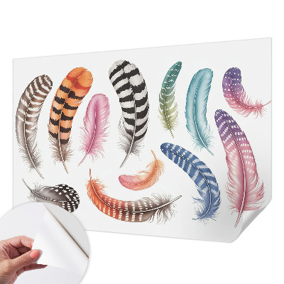 Mural de pared con estampado hermoso Plumas en tonos pastel