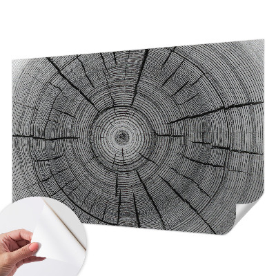 Fotomural decorativo para cabecero de cama Armonía del bosque