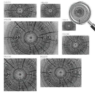 Fotomural decorativo para cabecero de cama Armonía del bosque
