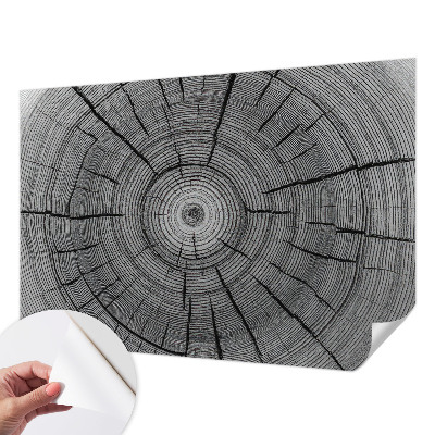 Fotomural decorativo para cabecero de cama Armonía del bosque