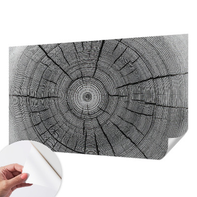 Fotomural decorativo para cabecero de cama Armonía del bosque