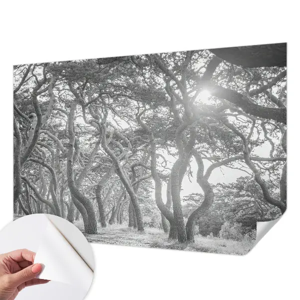 Papel mural texturado decorativo con un motivo de bosque atmosférico