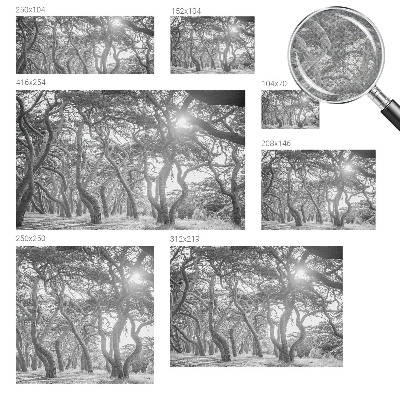 Papel mural texturado decorativo Bosque atmosférico