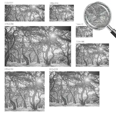 Papel mural texturado decorativo con un motivo de bosque atmosférico