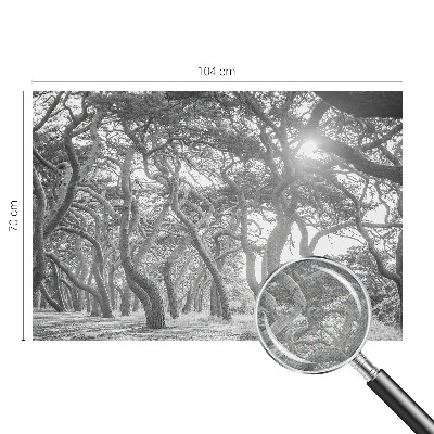 Papel mural texturado decorativo Bosque atmosférico