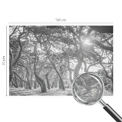 Papel mural texturado decorativo con un motivo de bosque atmosférico