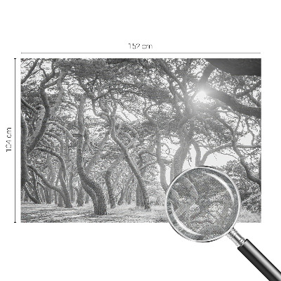 Papel mural texturado decorativo Bosque atmosférico