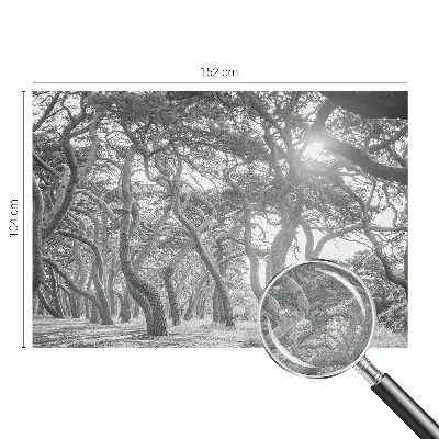 Papel mural texturado decorativo con un motivo de bosque atmosférico