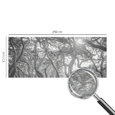 Papel mural texturado decorativo Bosque atmosférico