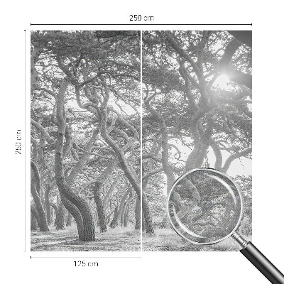 Papel mural texturado decorativo Bosque atmosférico