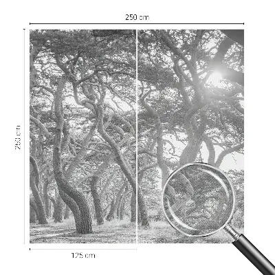 Papel mural texturado decorativo con un motivo de bosque atmosférico