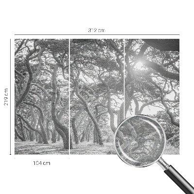 Papel mural texturado decorativo Bosque atmosférico