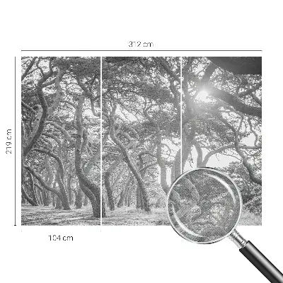 Papel mural texturado decorativo con un motivo de bosque atmosférico