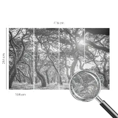 Papel mural texturado decorativo con un motivo de bosque atmosférico