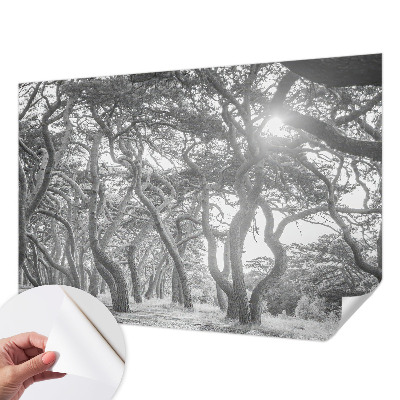 Papel mural texturado decorativo Bosque atmosférico