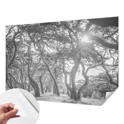 Papel mural texturado decorativo con un motivo de bosque atmosférico
