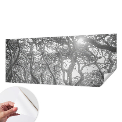 Papel mural texturado decorativo Bosque atmosférico
