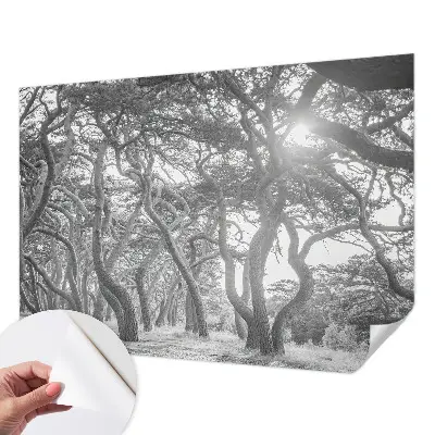 Papel mural texturado decorativo con un motivo de bosque atmosférico