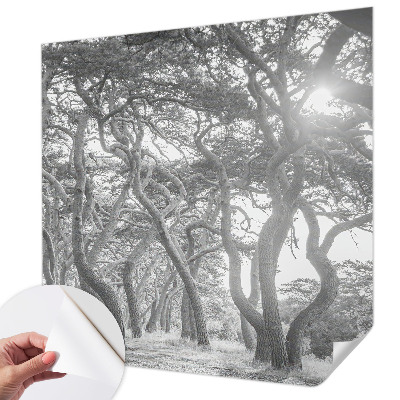 Papel mural texturado decorativo Bosque atmosférico