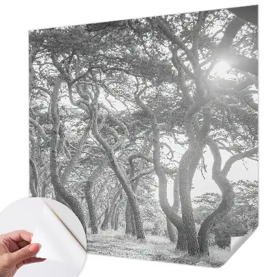 Papel mural texturado decorativo con un motivo de bosque atmosférico