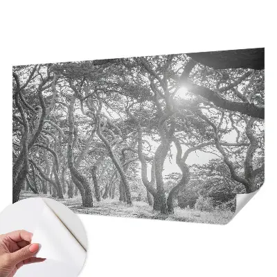 Papel mural texturado decorativo con un motivo de bosque atmosférico