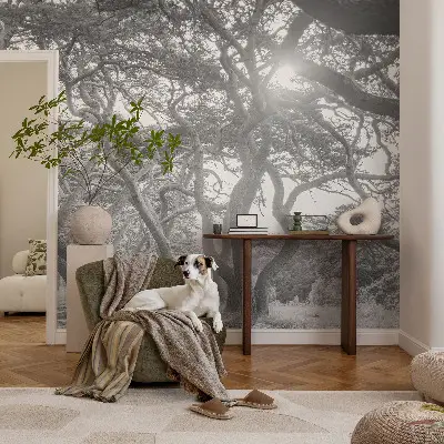 Papel mural texturado decorativo con un motivo de bosque atmosférico