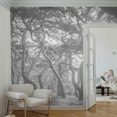 Papel mural texturado decorativo Bosque atmosférico