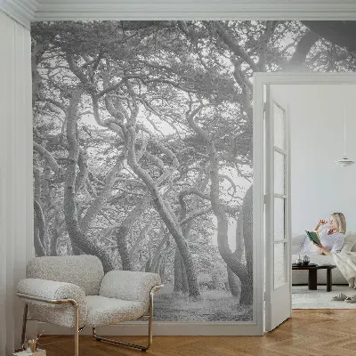 Papel mural texturado decorativo con un motivo de bosque atmosférico