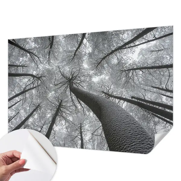 Papel mural texturado decorativo con un motivo de paisaje invernal