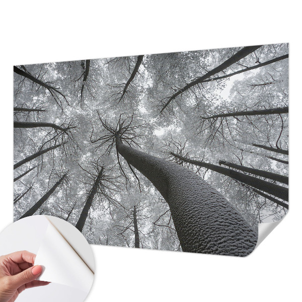 Papel mural texturado decorativo Paisaje invernal